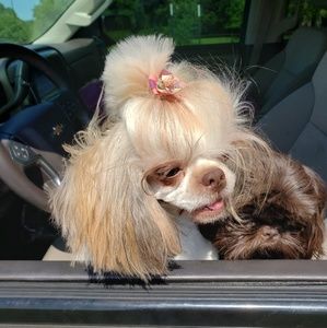 Meet your Posher, Shawn